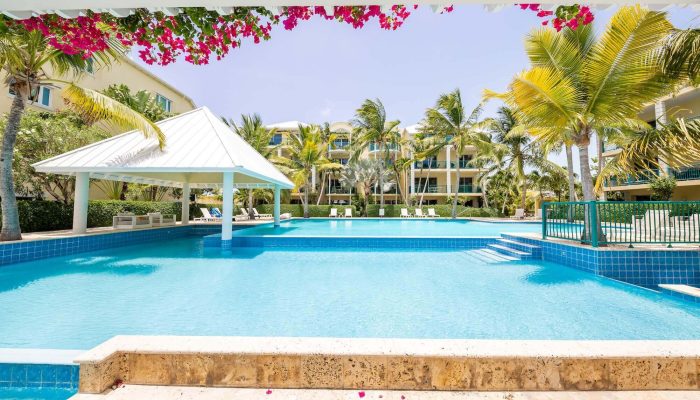 Tropical resort pool with gazebo and palms