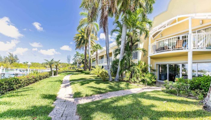 Tropical resort with palm trees and path.