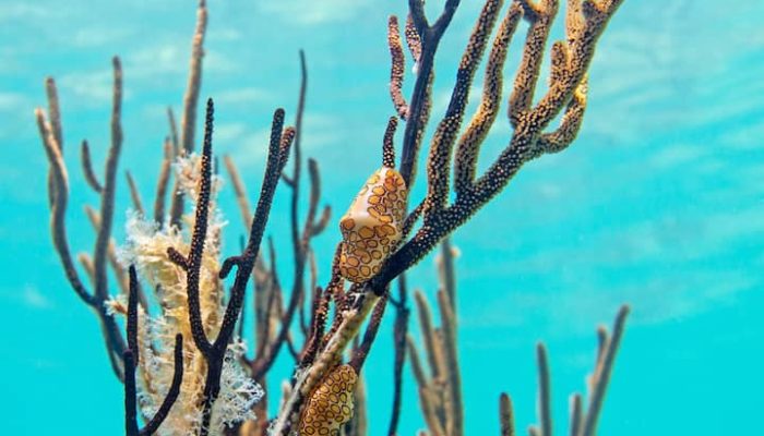 30fae85f-9e01-4172-bd92-8303871eebd9