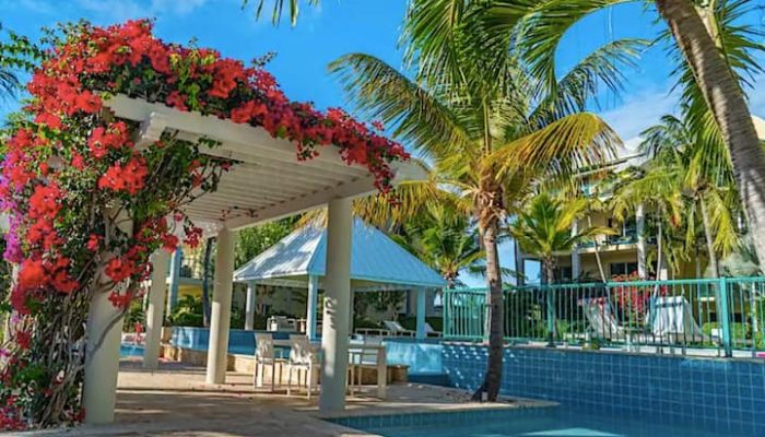 98c03dc5-a212-4c06-be60-2cbb446db949