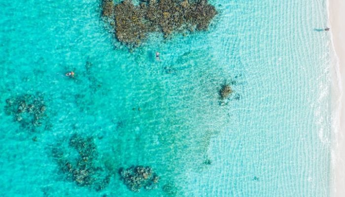 9f7a27d0-f82c-4aa1-b334-c27fe15ff9df