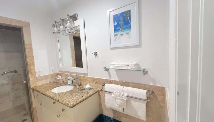 Bathroom with sink, mirror, and shower area.