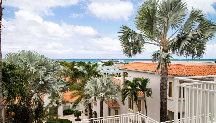 Tropical resort with palm trees and ocean view.