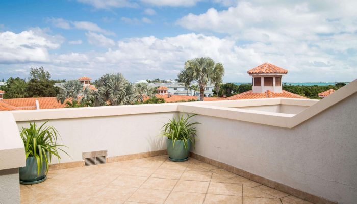 Terrace with plants and distant rooftops.