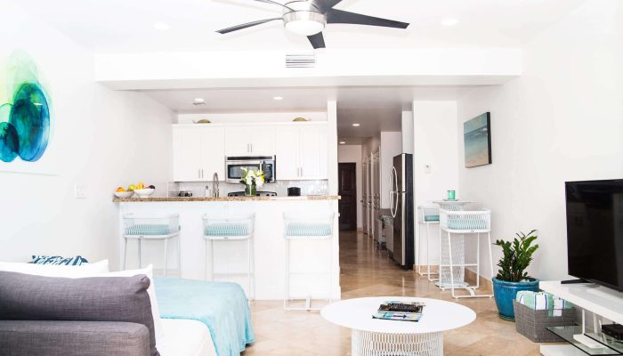 Modern living room with kitchen and decor.