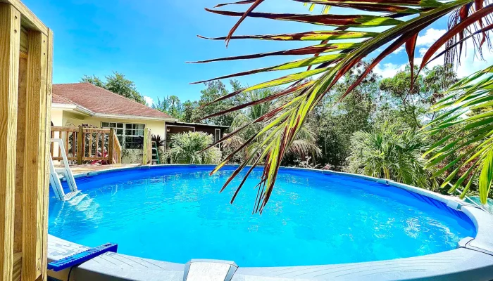 Above-ground pool with palm leaves and house.