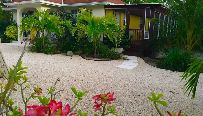 House with garden and tropical plants.